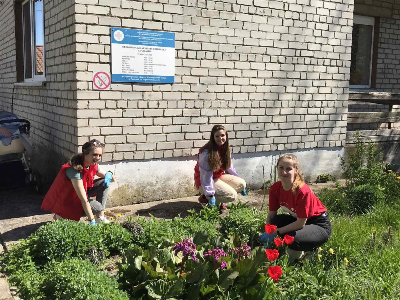 изображение_viber_2021-05-13_07-38-47.jpg