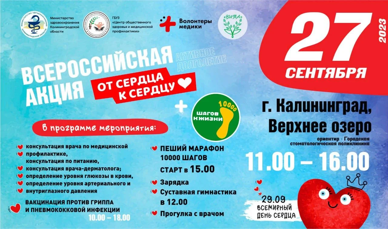 Изображение WhatsApp 2023-09-26 в 15.11.50.jpg Изображение WhatsApp 2023-09-26 в 15.11.50.jpg