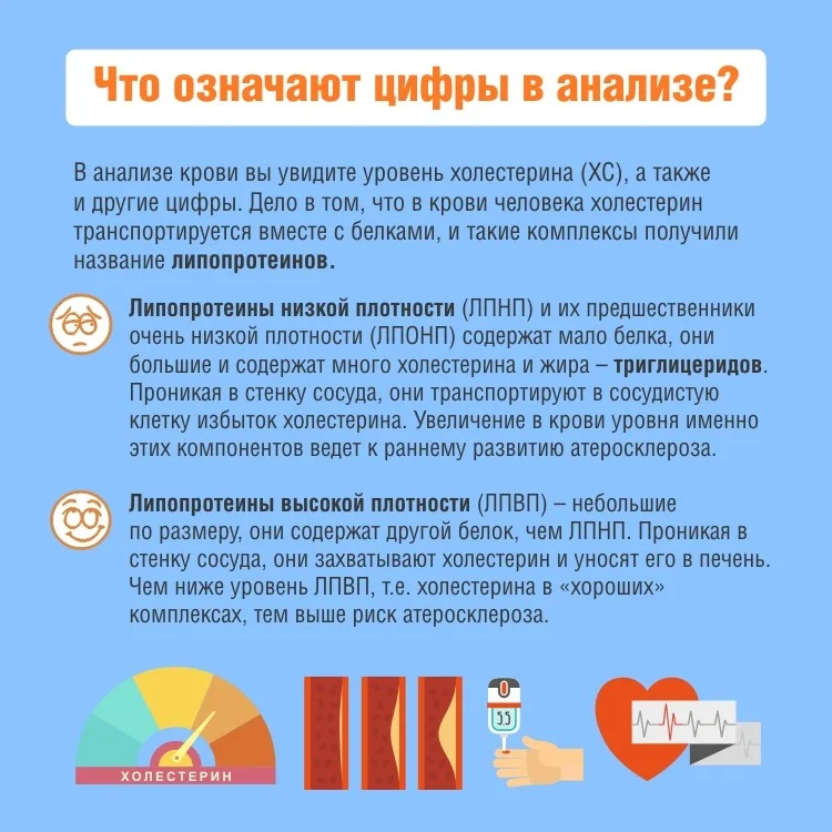 Холестерин_карточки5.jpg