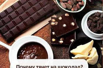 Почему тянет на шоколад? Почему тянет на шоколад?