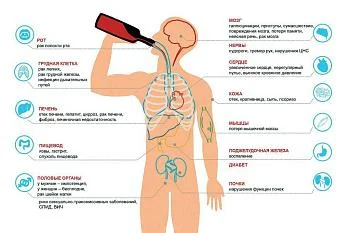 Вред алкоголя