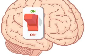 Как «разбудить» свой мозг