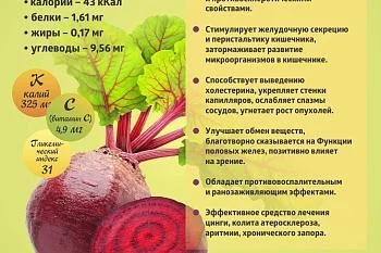 Коротко о полезном. Свекла