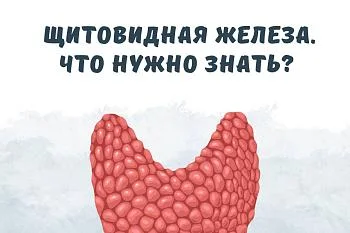 Щитовидная железа. Что нужно знать?