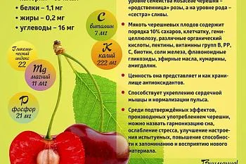 Коротко о полезном. "Вишня"