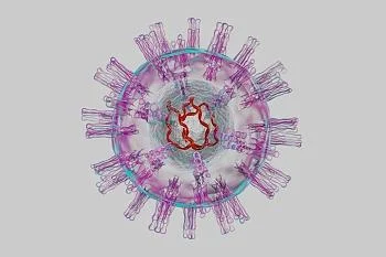 Генитальный герпес