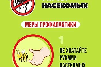 Меры профилактики от укусов насекомых