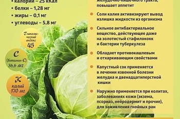 Коротко о полезном. Капуста