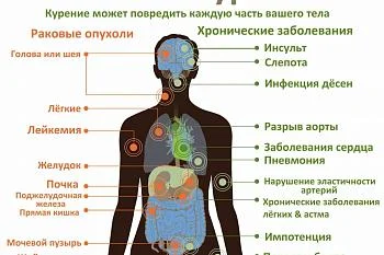 Влияние курения на усвоение питательных веществ