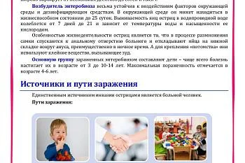 Профилактика энтеробиоза