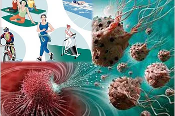 Низкая физическая активность как фактор риска для здоровья