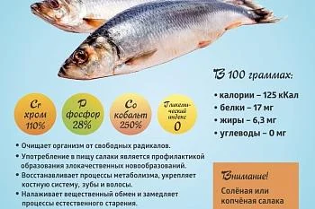 Коротко о полезном. Салака Коротко о полезном. Салака