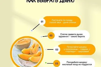 Как правильно выбрать дыню?