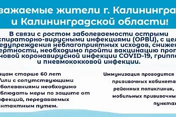 Вакцинация от гриппа, пневмококка и COVID-19