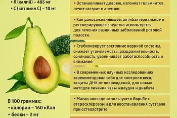 Коротко о важном! Сезонные продукты - Авокадо.