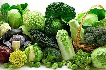О пользе крестоцветных и капусты