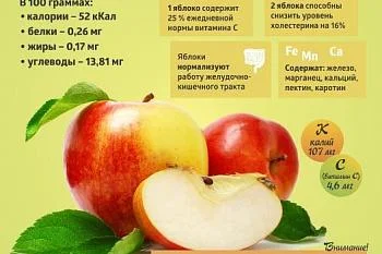 Коротко о важном! Сезонные продукты - Яблоки. Коротко о важном! Сезонные продукты - Яблоки.