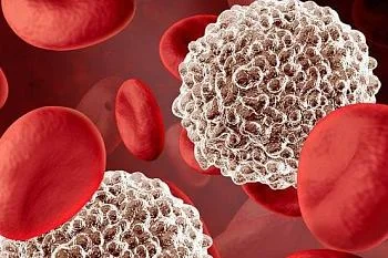 Лейкоциты (лейкоцитарная масса)