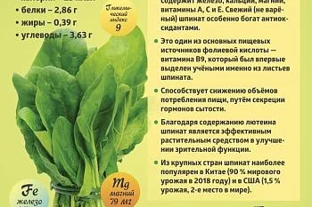 Коротко о полезном. Шпинат