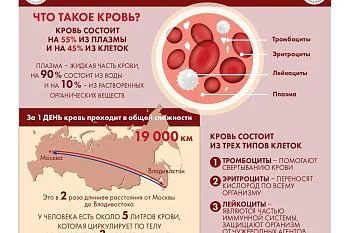 Инфографика