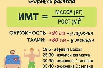 Индекс массы тела