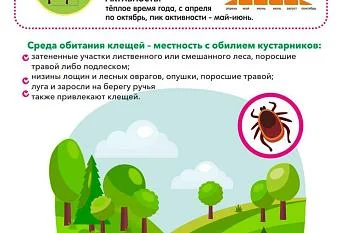 Осторожно! Клещи!