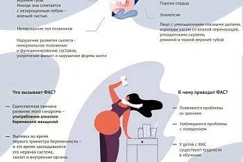 Вред алкоголя