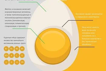 Польза и вред яиц