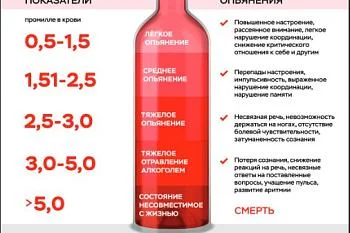 Вред алкоголя