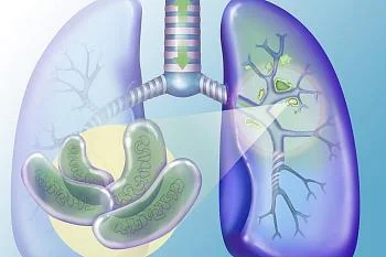 Рекомендуем к просмотру. Как передается туберкулез?
