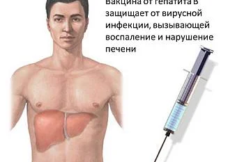 Защити себя от гепатита В – вакцинируйся!