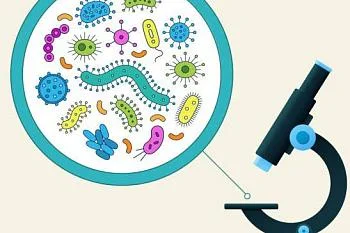 ИППП можно разделить на...