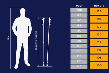 Как выбрать палки для скандинавской ходьбы