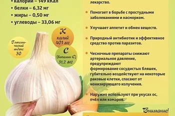 "Коротко о полезном" ﻿ ЧЕСНОК