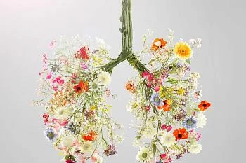 Здоровье легких. Часть 2.