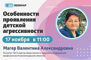 Вебинар. Тема: "Особенности проявления детской агрессивности" Вебинар. Тема: "Особенности проявления детской агрессивности"