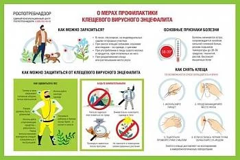 О мерах профилактики вирусного энцефалита