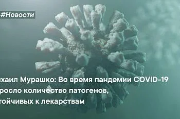 Во время пандемии COVID-19 выросло количество патогенов, устойчивых к лекарствам