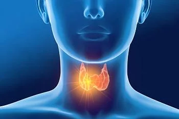 Как оценить вероятность заболевания щитовидной железы?