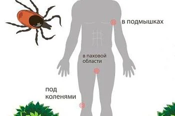 !!Осторожно!! Клещи