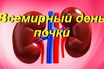 10 марта - Всемирный день почки 10 марта - Всемирный день почки