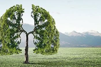 Здоровье легких.