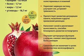 Коротко о полезном. Гранат