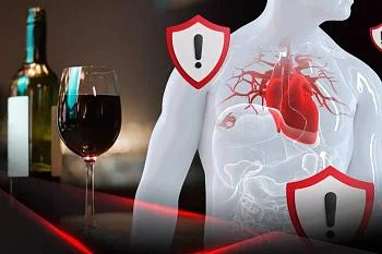 Алкоголь и синдром «бычьего сердца»