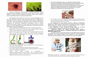 Что делать, если укусил клещ