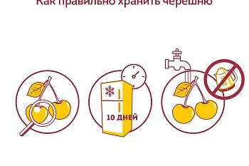 Как правильно хранить черешню?