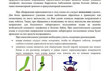 Что делать, если укусил клещ?