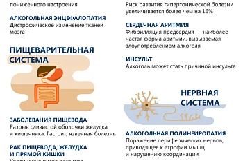 Вред алкоголя