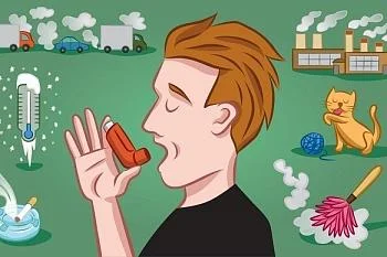 У кого высокие риски заболеть бронхиальной астмой