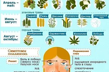Аллергия на пыльцу